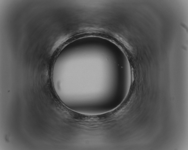 X0000092101261200709121538