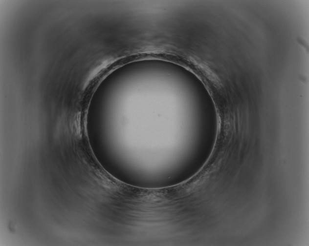 X0000092101262200709121538