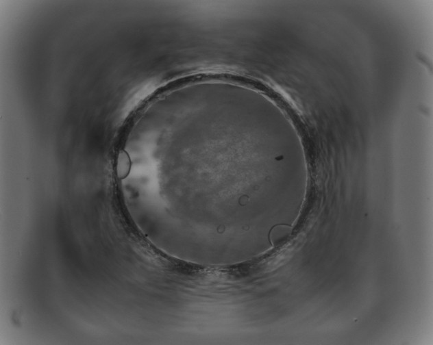 X0000092101263200709121538
