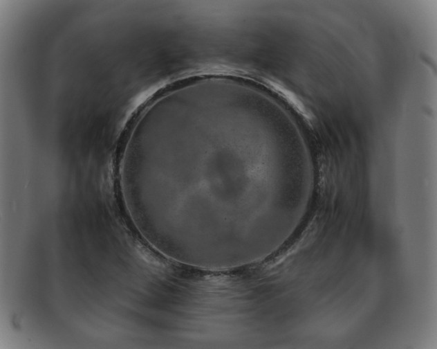 X0000092101264200709121538