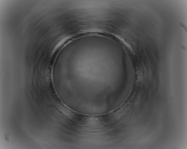 X0000092101266200709121538