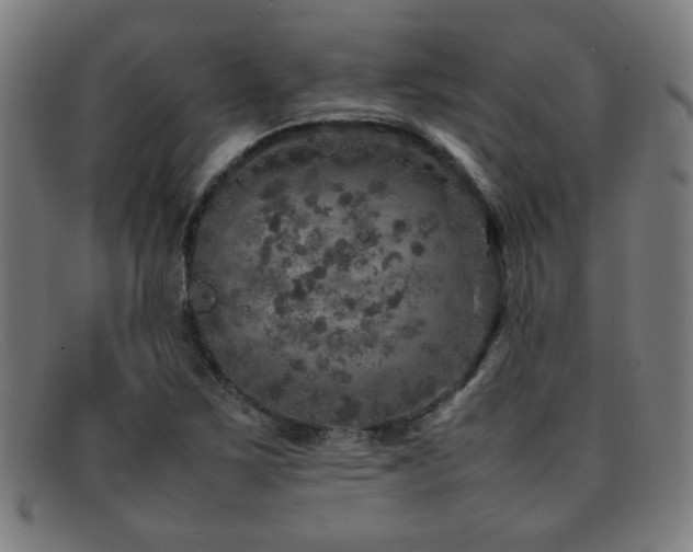 X0000092101267200709121538