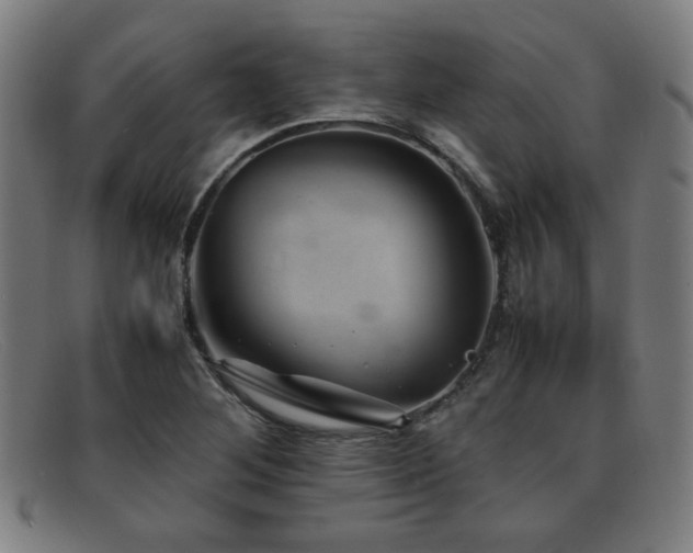 X0000092101268200709121538