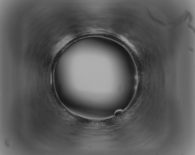 X0000092101269200709121538