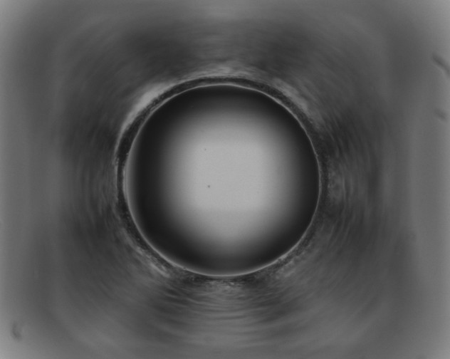 X0000092101270200709121538