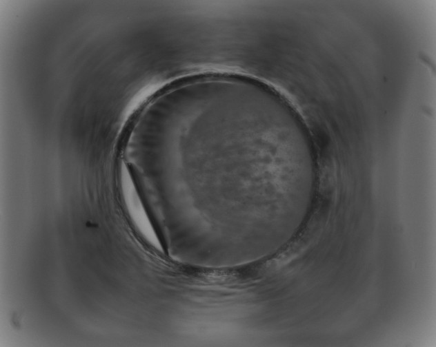 X0000092101271200709121538