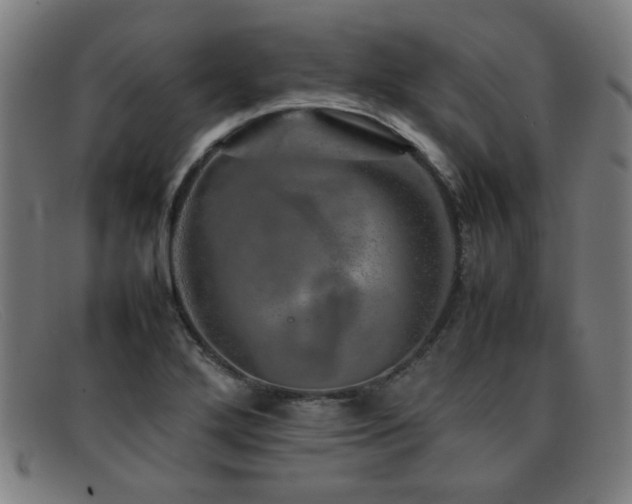 X0000092101272200709121538