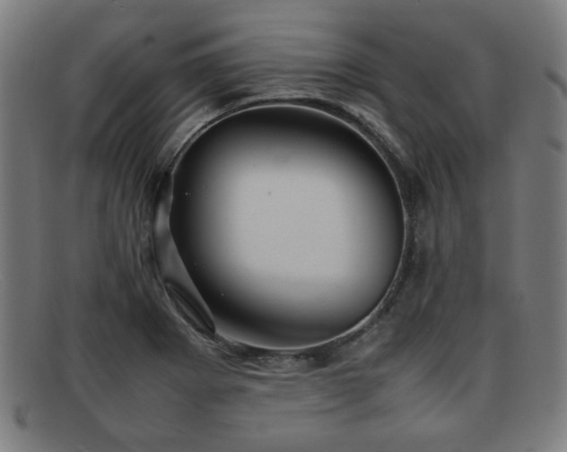 X0000092101273200709121538