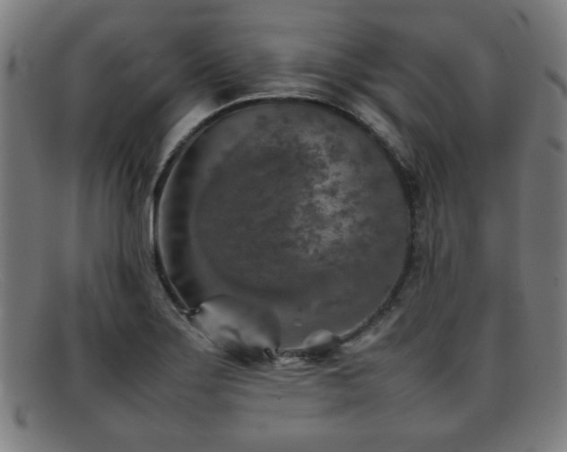 X0000092101275200709121538