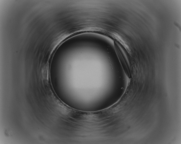 X0000092101276200709121538