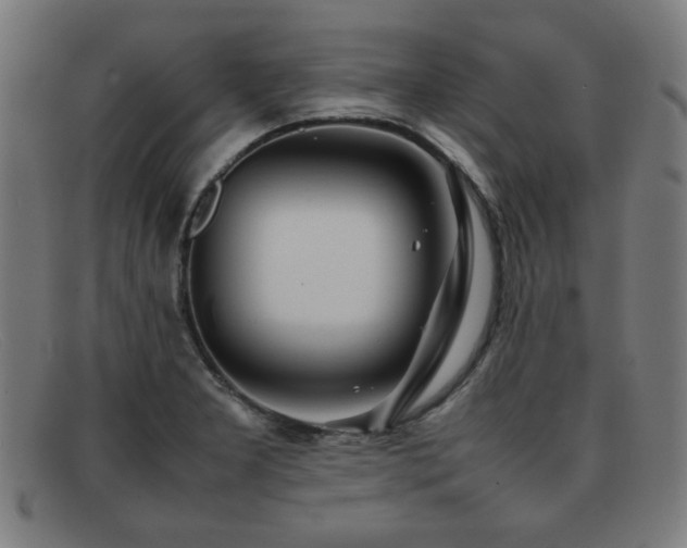 X0000092101277200709121538