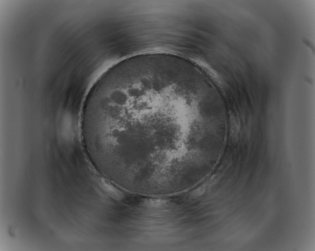 X0000092101278200709121538