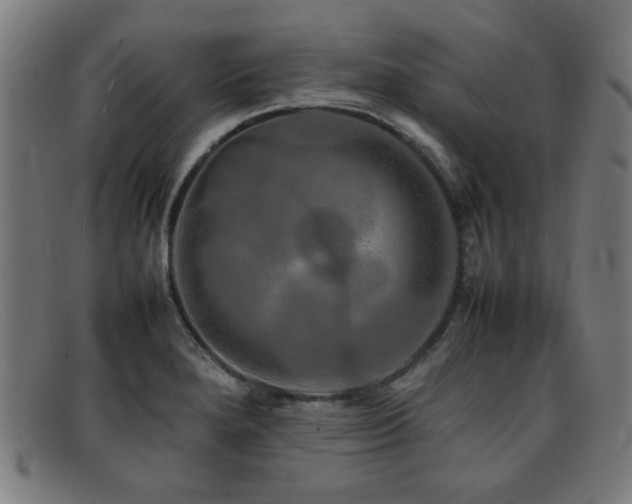 X0000092101280200709121538