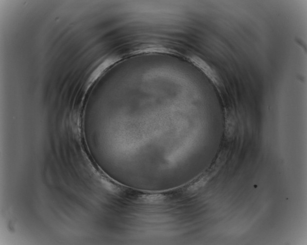 X0000092101282200709121538