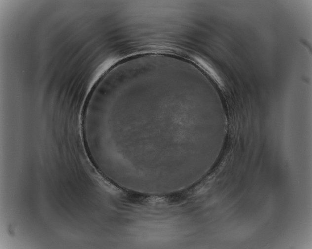 X0000092101283200709121537