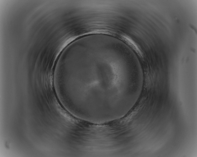 X0000092101284200709121537