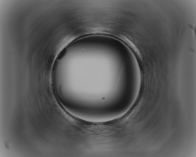 X0000092101285200709121537