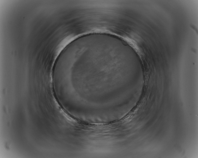 X0000092101287200709121537