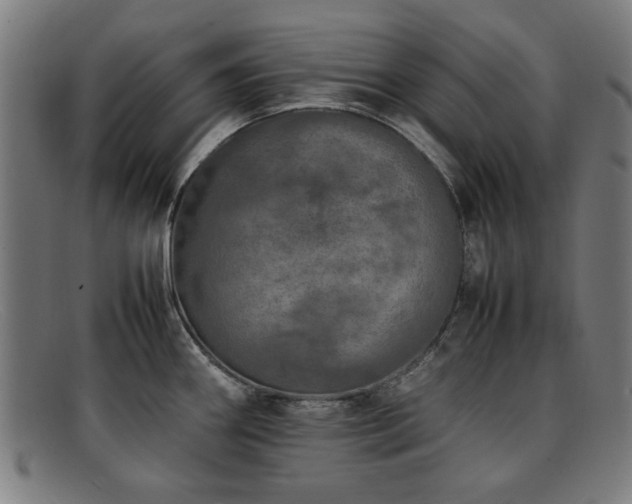X0000092101290200709121537