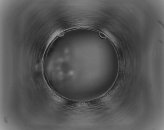 X0000092101291200709121537