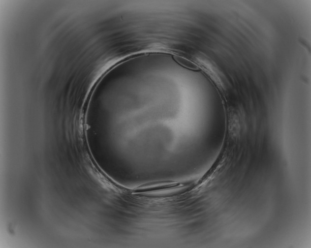 X0000092101292200709121537