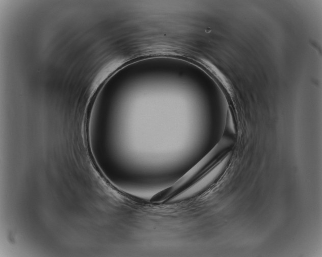 X0000092101293200709121537