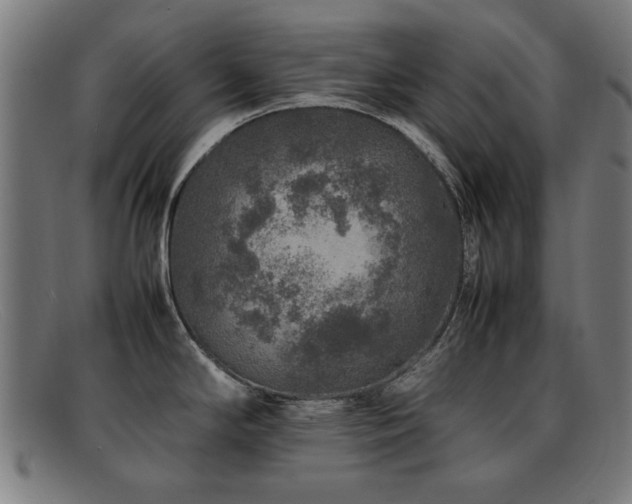 X0000092101294200709121537