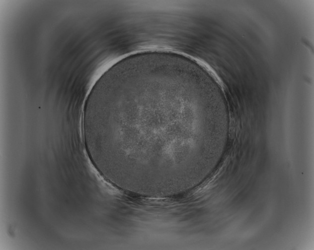 X0000092101295200709121537