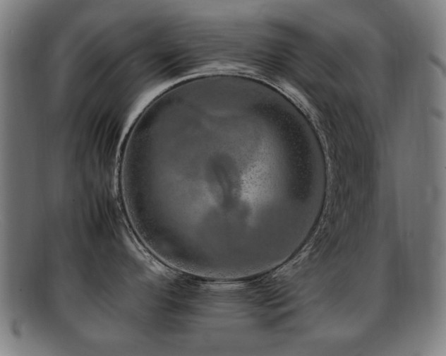 X0000092101296200709121537