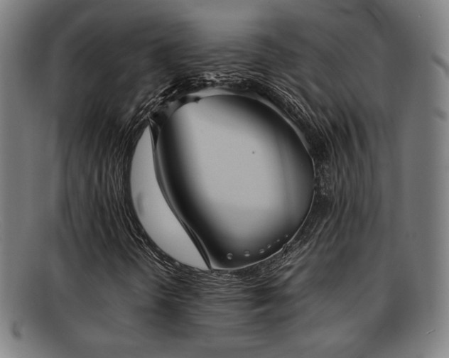 X0000092101298200709121537