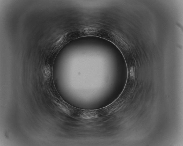 X0000092101299200709121537