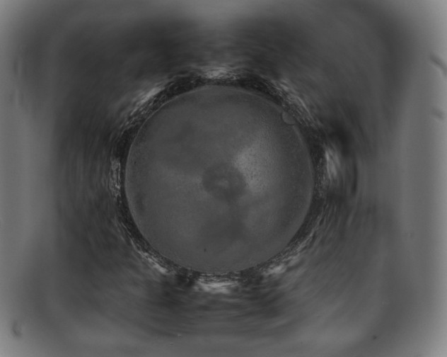 X0000092101301200709121537
