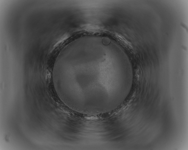 X0000092101302200709121537