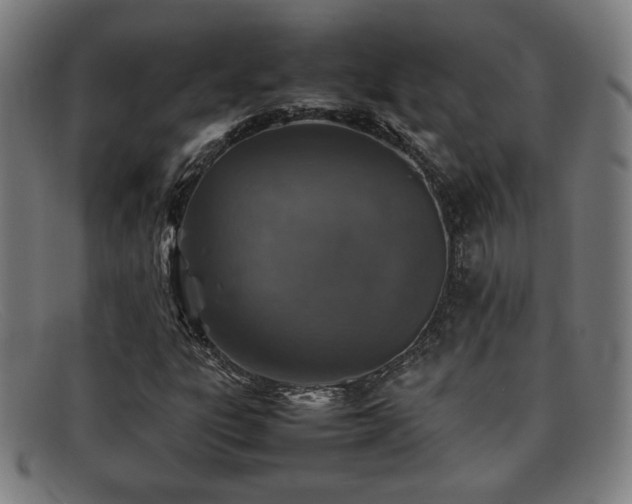 X0000092101303200709121537