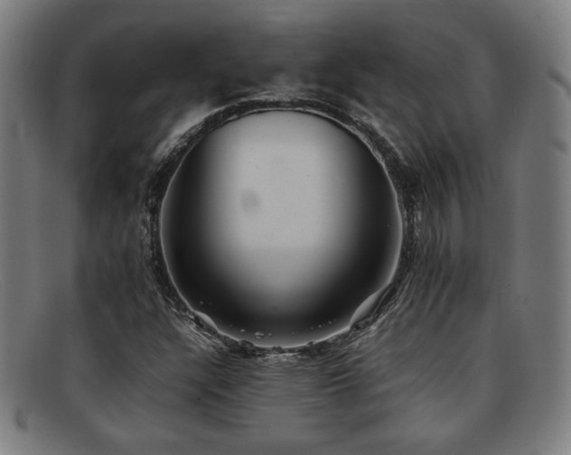 X0000092101304200709121537