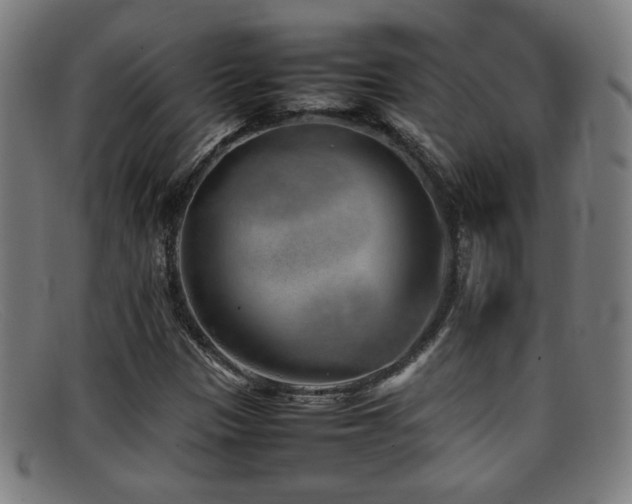 X0000092101305200709121537