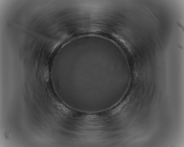 X0000092101306200709121537