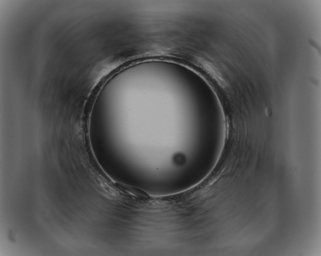 X0000092101308200709121537