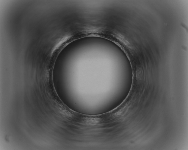 X0000092101309200709121537