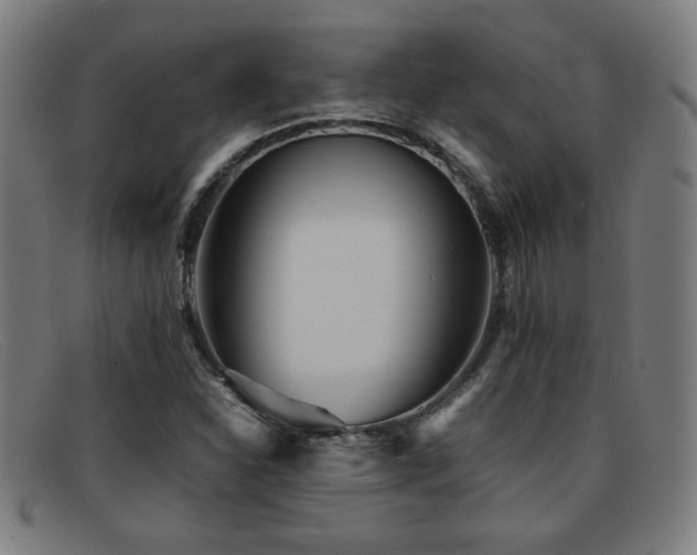 X0000092101310200709121537