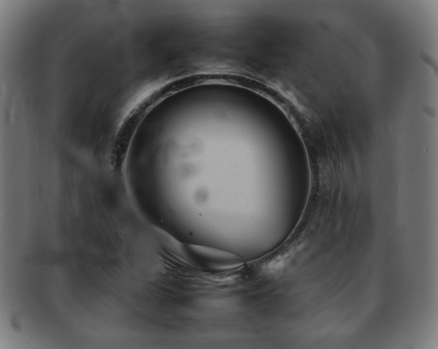 X0000092101311200709121537