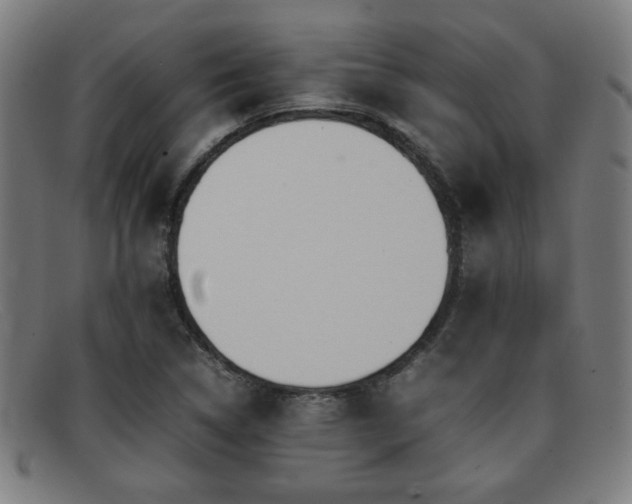X0000092101314200709121537