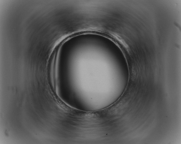 X0000092101316200709121537