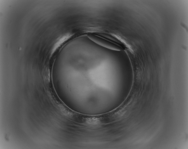 X0000092101317200709121537