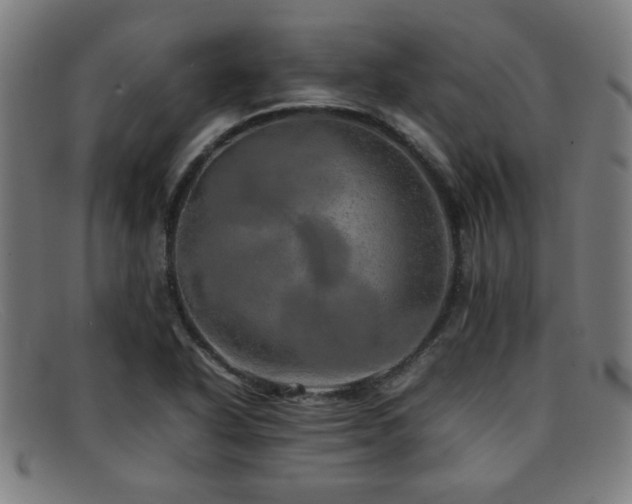 X0000092101318200709121537