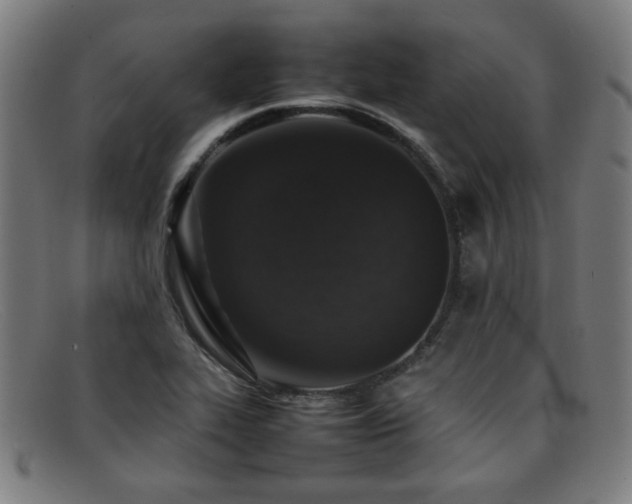X0000092101319200709121537