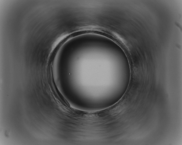 X0000092101320200709121537