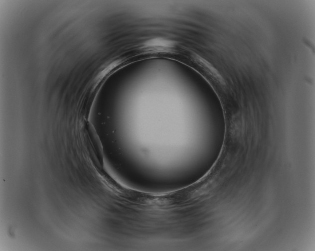 X0000092101321200709121537