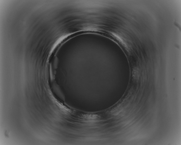 X0000092101323200709121537