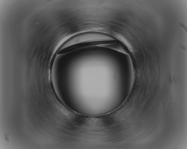 X0000092101324200709121537